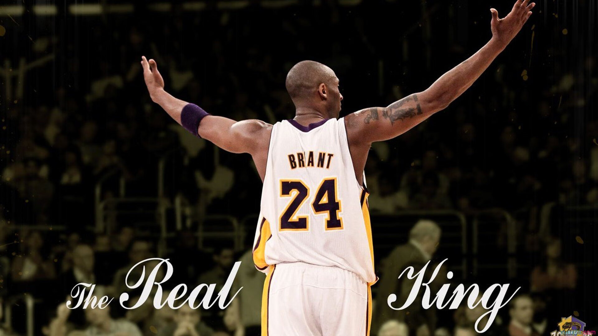 世界杯激情再燃：精彩瞬间不断！，世界杯激战正酣,我们都知道